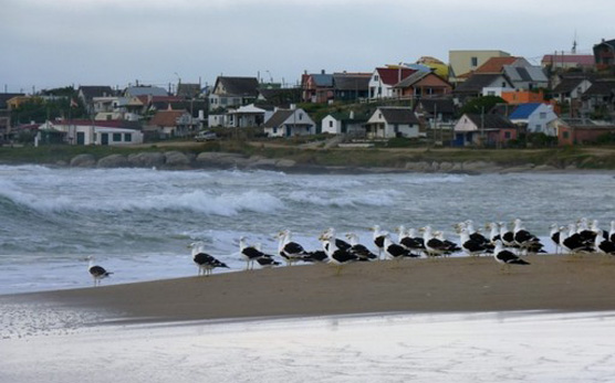 Cabaņas el Ocio Punta del Diablo